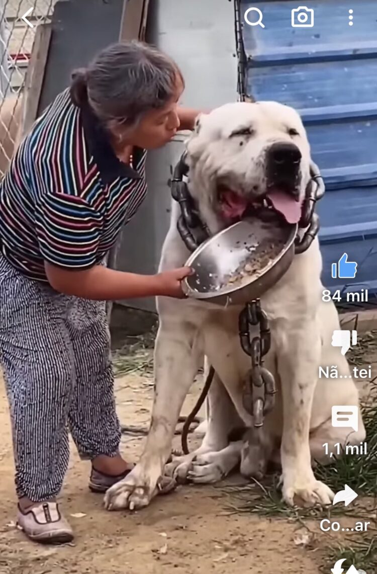 bryanna nasck feet 5