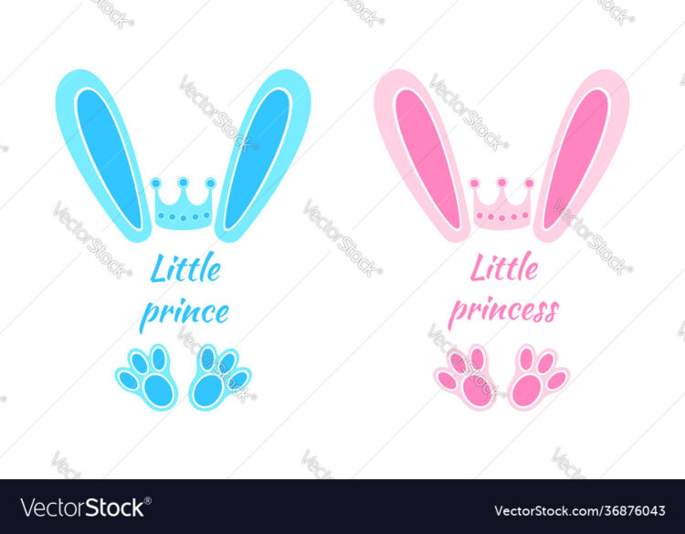 bunny princess feet 2