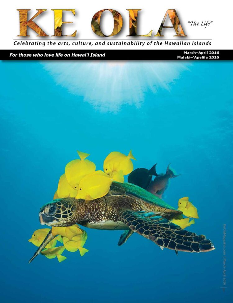 cacau livia colucci feet 3