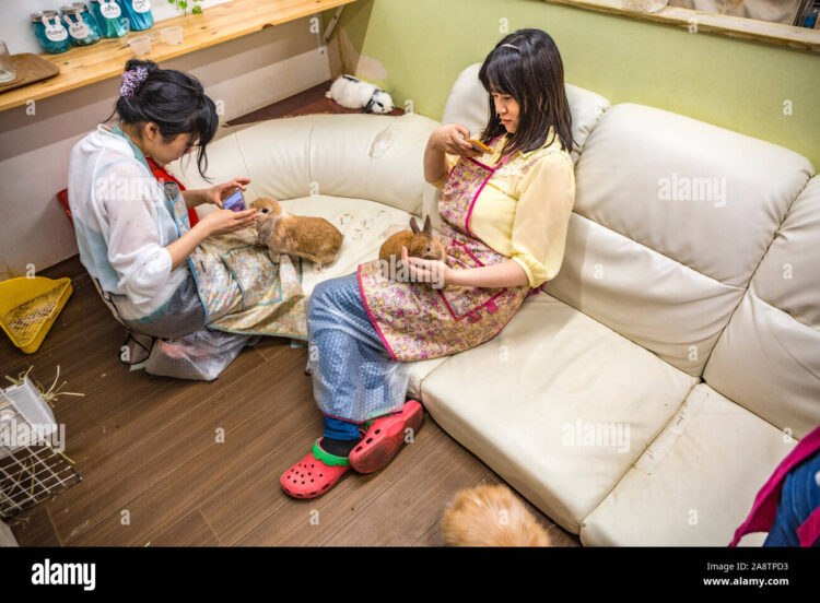 cafe con mimi feet 5