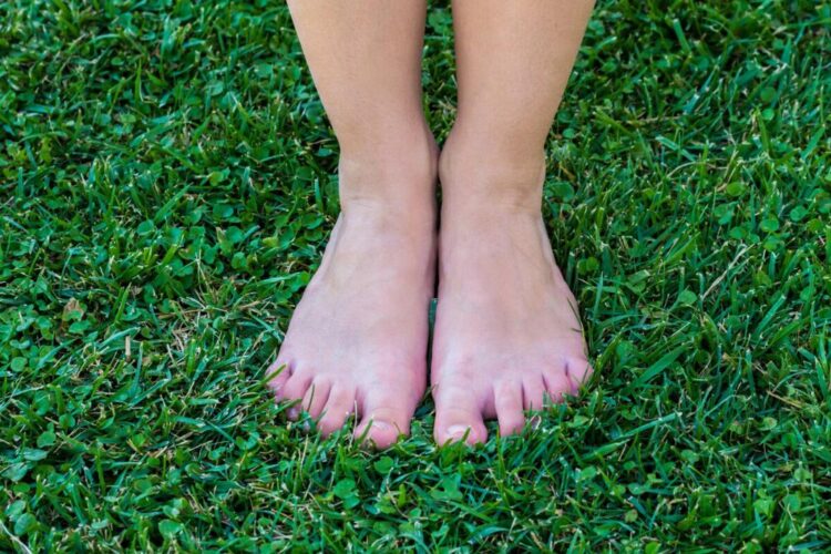 caila tsamutalis feet