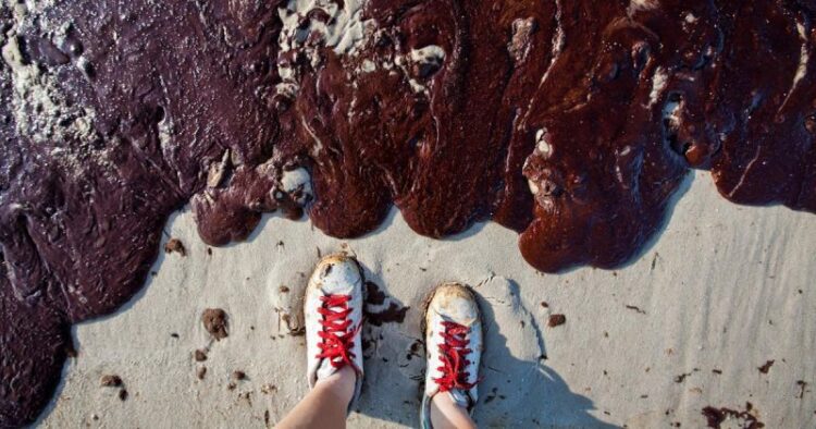 caitlin campbell feet 6