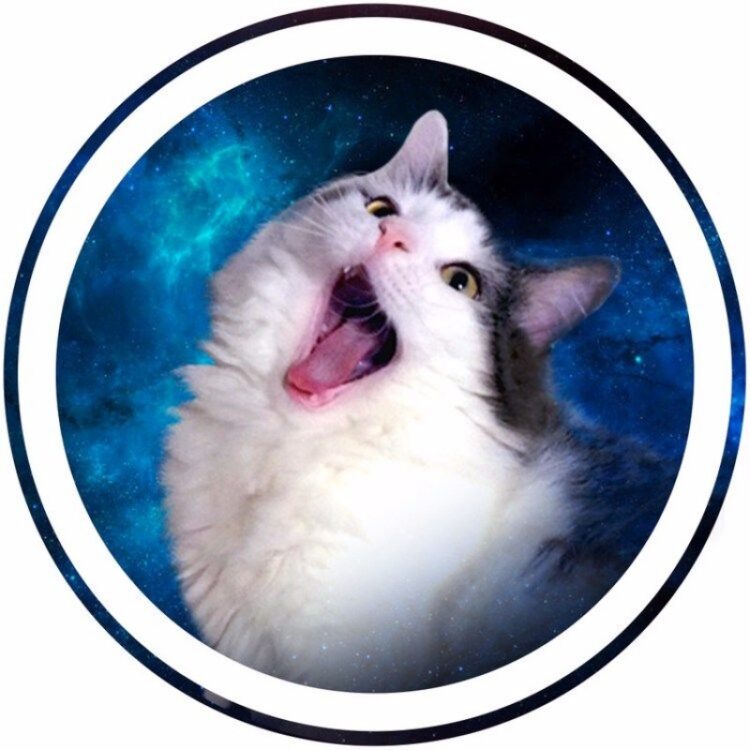 cakes1todough1 feet 1