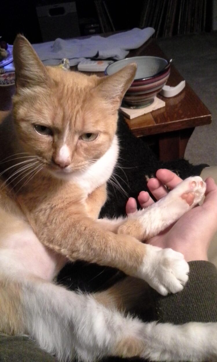 cakes1todough1 feet 2