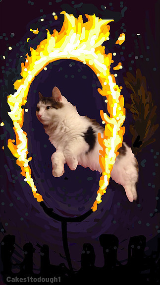 cakes1todough1 feet 4