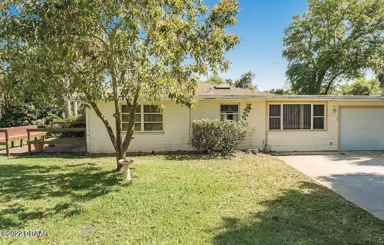 cambriea gregorek feet 1