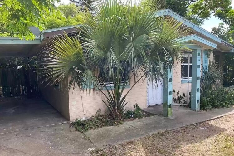 cambriea gregorek feet 2