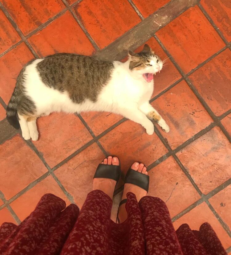 camila mateos feet 4