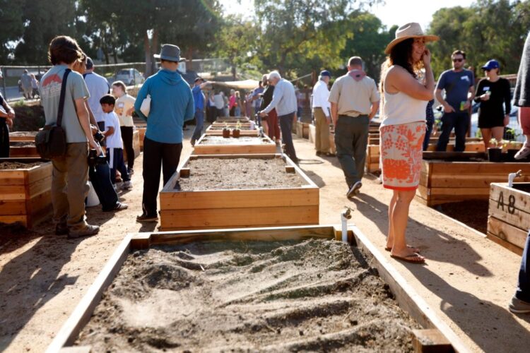 camila redondo feet 6