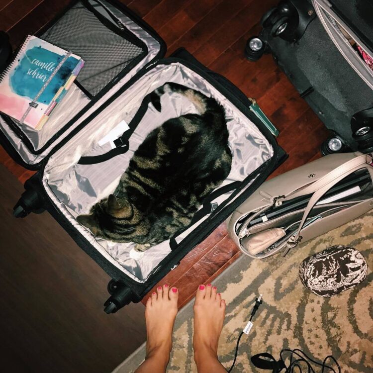 camille schrier feet 3