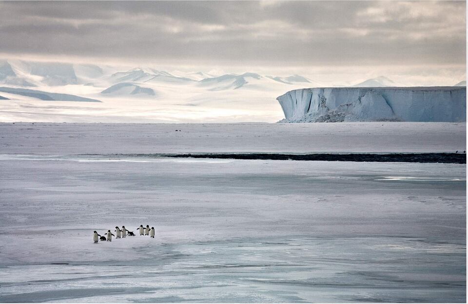 camille seaman feet 5