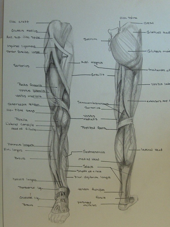 candela sartorius feet 5