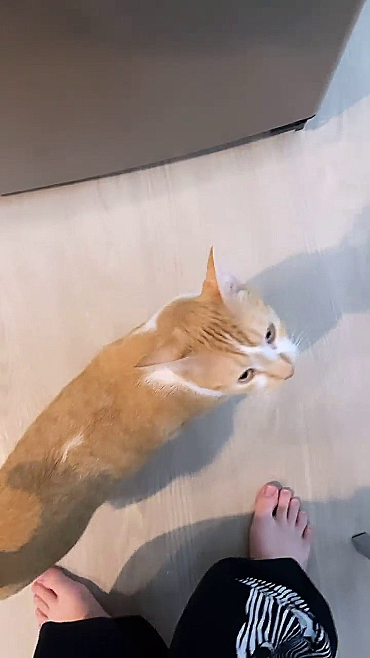 carlie hanson feet 1