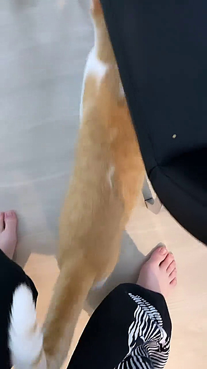 carlie hanson feet 2