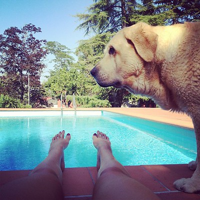 carlotta rubaltelli feet 3