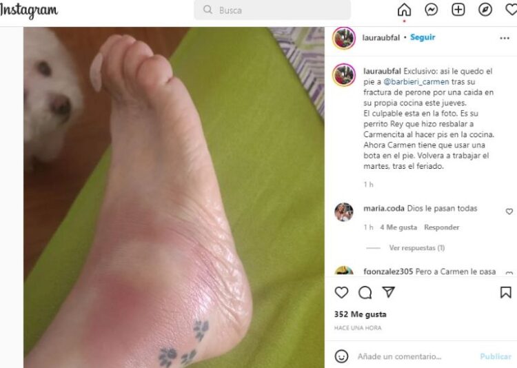 carmen barbieri feet 6