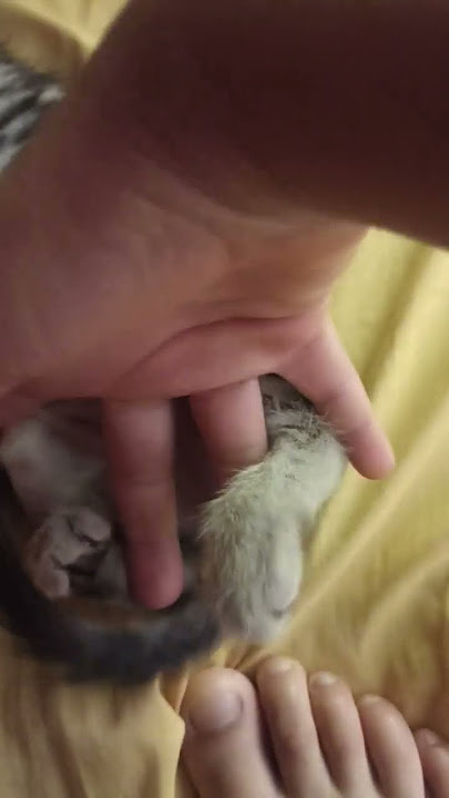 carmen castillo feet 1