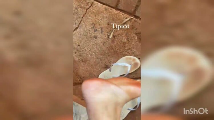 carol chamberlain feet