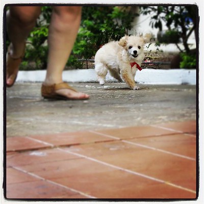 carol martins feet 5