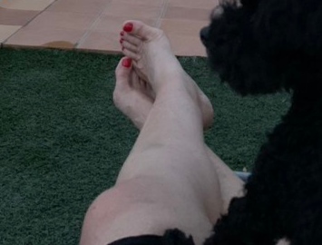 carol navarro feet 3