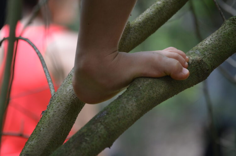 carol thome feet scaled