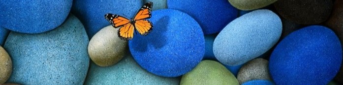 carolina alvidrez feet 6