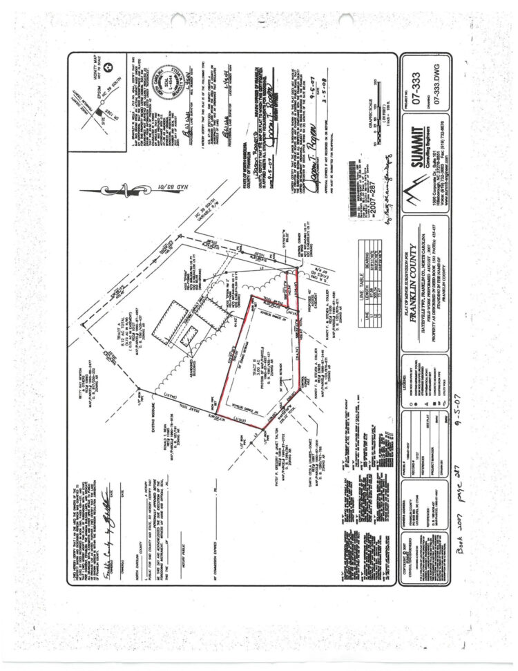 carolina henderson feet 4