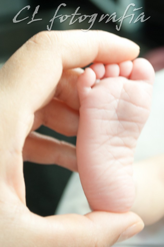 carolina lemos feet 6