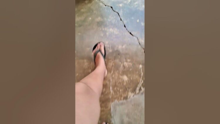 carolina maria rubinato feet 6