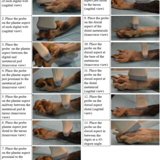 caroline galeo feet 4