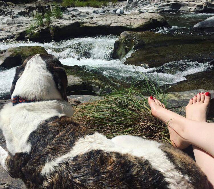 carrie brownstein feet 4