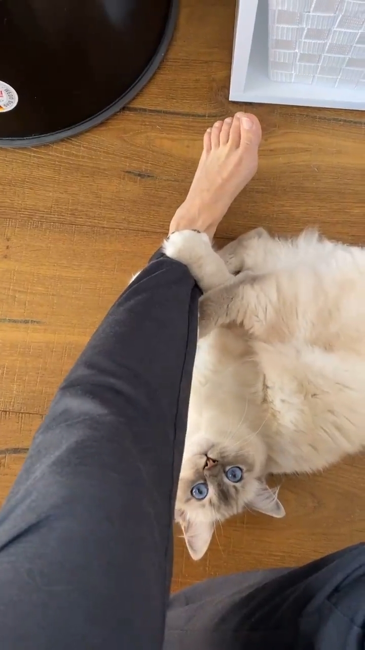 carrie kirsten feet 5