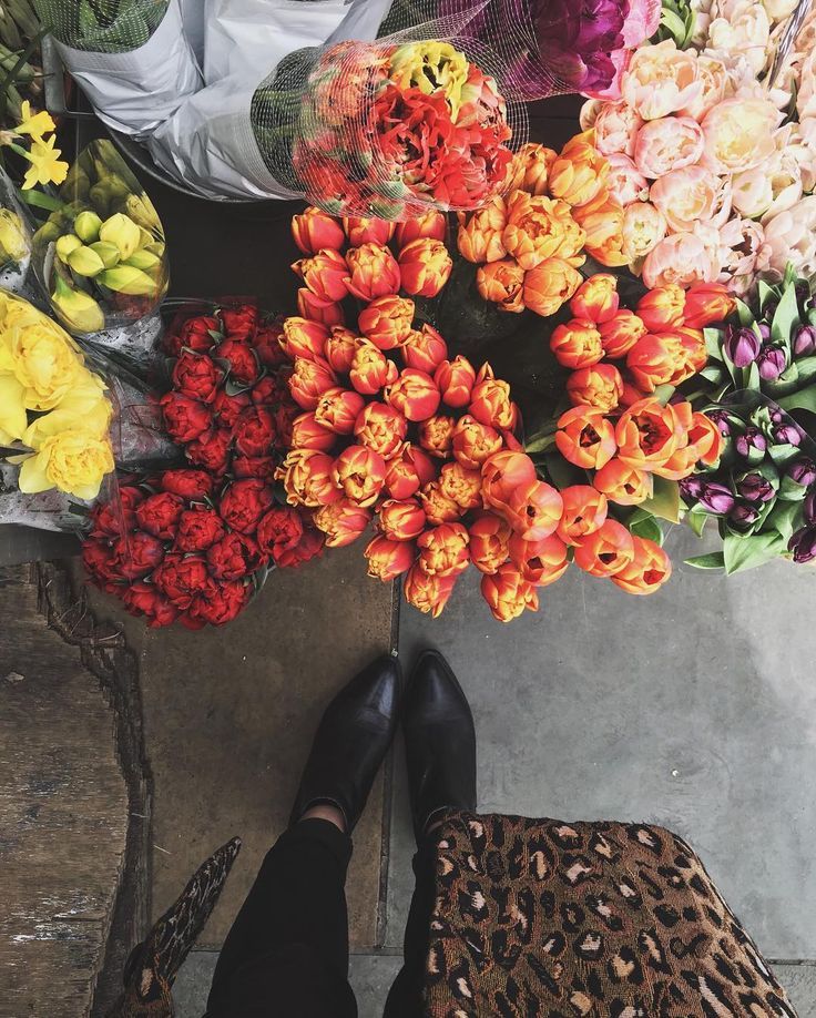 carrie santana da silva feet 1