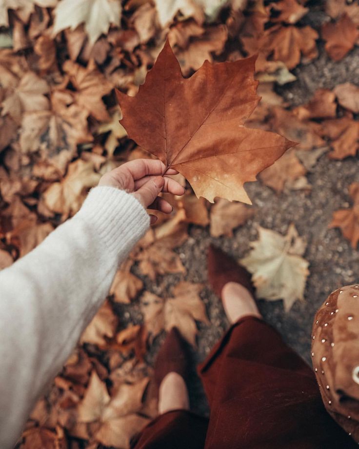 carrie santana da silva feet 5