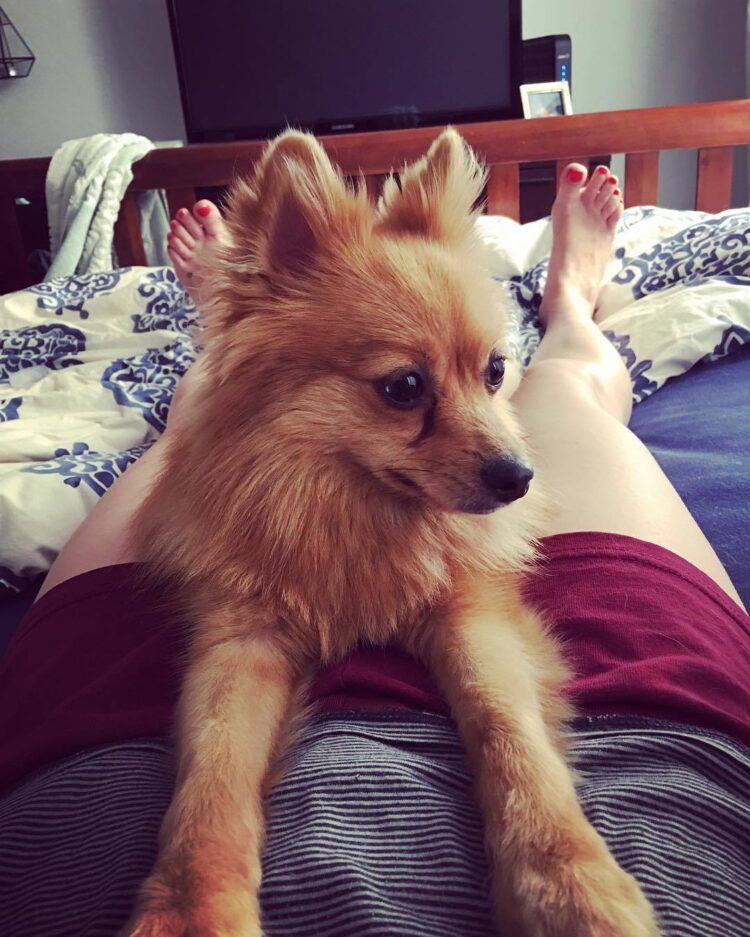 carrie st. louis feet 6