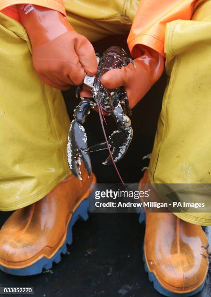 carrie walker feet 2