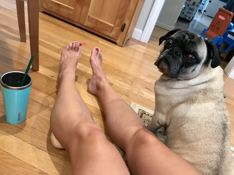 carrotsncake feet scaled