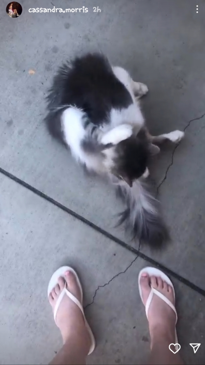 cassanda morrise feet 2