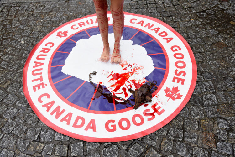 cassandra foret feet 4 scaled