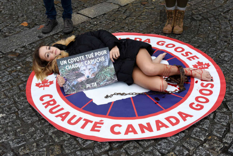 cassandra foret feet 5