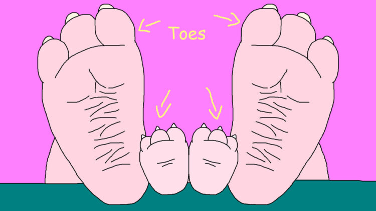 cassie roberts feet 3