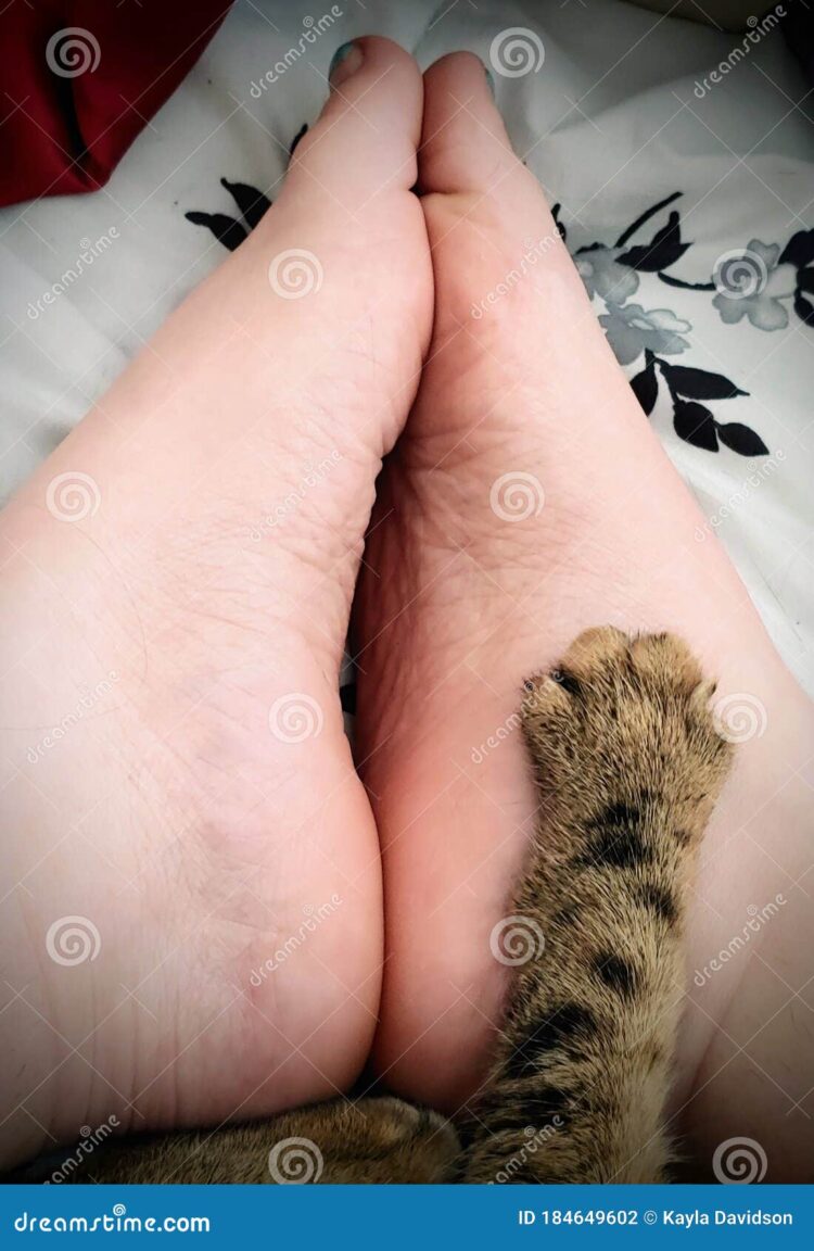 cat davidson feet