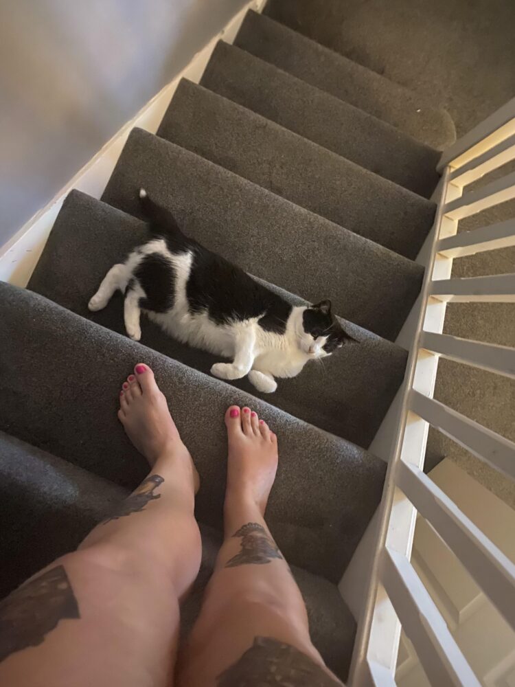 cat norris feet 6 scaled