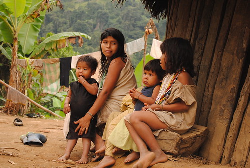 catalina aristizabal feet 6