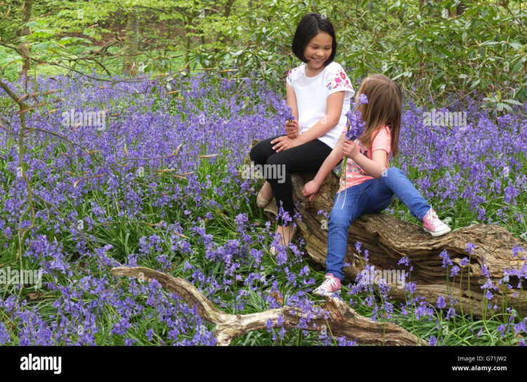 catalina di luca feet 4