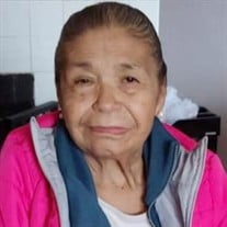 catalina fernandez feet 6