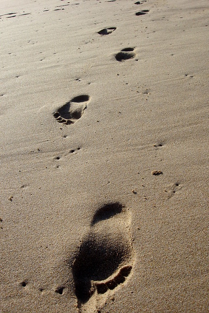 catarina filipe feet 5