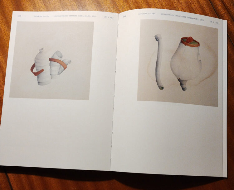 catarina jardim leitao feet 2