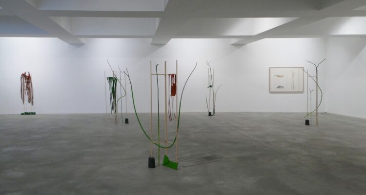 catarina jardim leitao feet 3