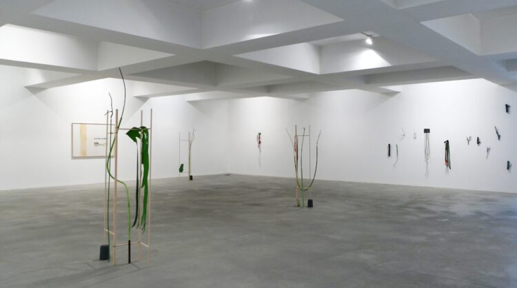 catarina jardim leitao feet 5